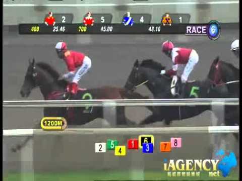 SINGAPORE RACE 10/11/2013 RACE 6 - iAgencyNet.com