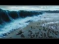 The Exodus Gods And Kings Hindi Movie Explain हिंदी METV