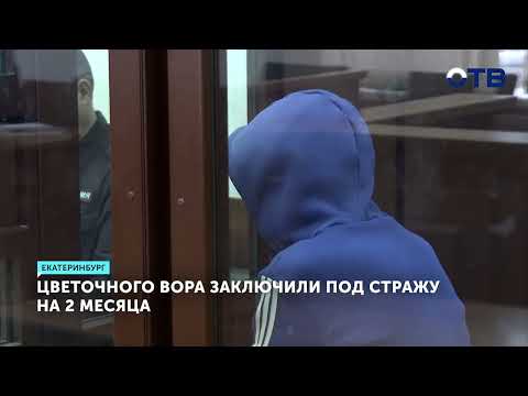 Уралец, ограбивший цветочный павильон под пистолетом, арестован на два месяца