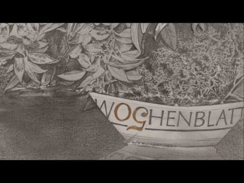 Jubiläumsfilm, 50 Jahre Wochenblatt