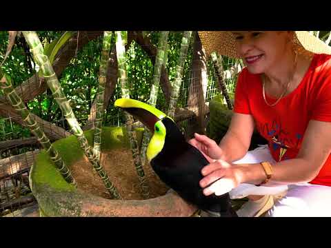 Первый отель в Коста Рике