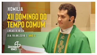 HOMILIA 12º Domingo do Tempo Comum (Lc 9,18-24/Ano C) - 19/06/2016