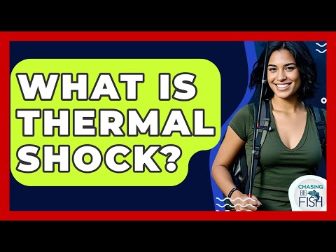 What Is Thermal Shock? - Chasing Big Fish
