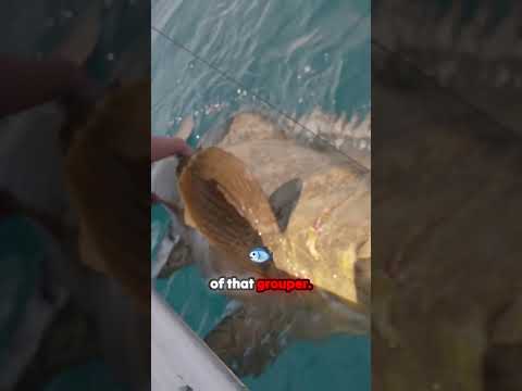 The Ultimate Showdown: NFL Star vs. Monster Grouper!