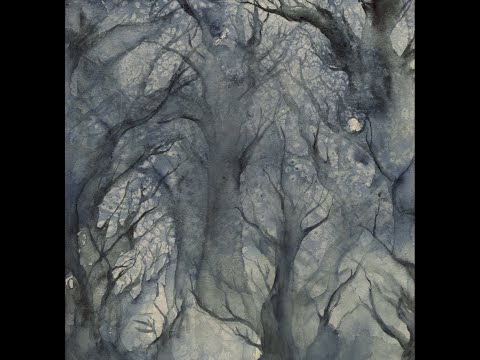 quadeca - i'm not going anywhere (song from live)