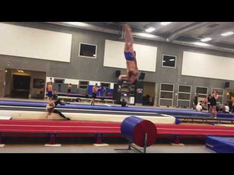 OGF SPYDSPIDSERNE 11/10-2016