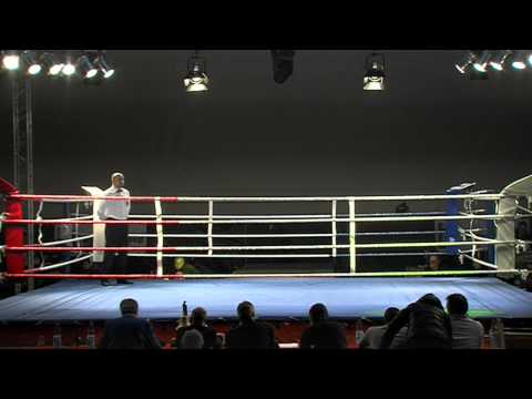 Boxen - 2.Liga: Boxring Hanau vs. Hertha BSC / Cottbus