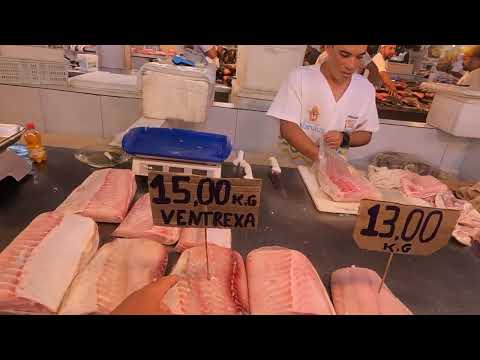 Feira Manaus Moderna: o paraíso dos peixes da Amazônia