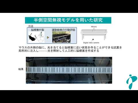 茨城県立医療大学大学院　医科学領域について2025