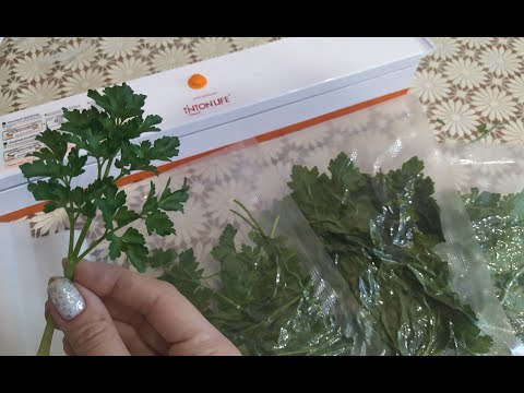 Вакумный упаковщик TINTON LIFE / как работает ОБЗОР Вакуумная упаковочная машина пищевой