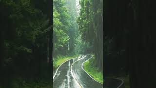 Download lagu DJ bakureh pagi Jo patang mp3