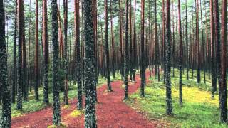 Coleman Hell - Fireproof ( Original Mix ) - Free Music