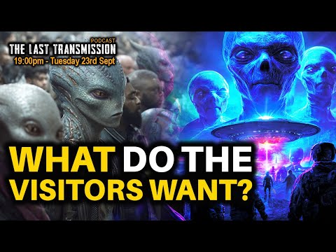 What do the visitors want? Live interactive