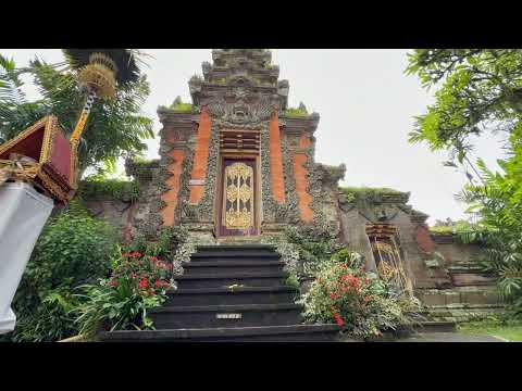 🌿 Discover the Enchanting Lifestyle of Ubud, Bali | Travel Vlog
