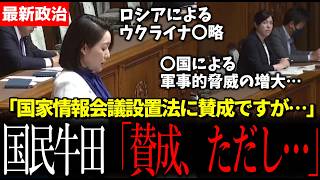 【衝撃】国民民主牛田議員　国家情報会議設置法案に賛成と警鐘