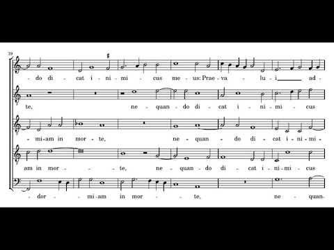 Cipriano de Rore: Usquequo Domine - amarcord