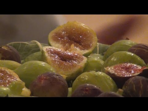 Il fico dottato Castiglione Cosentino