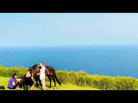Bald Hill lookout - Stanwell Park NSW (Shot on iPhone 11 Pro Max)