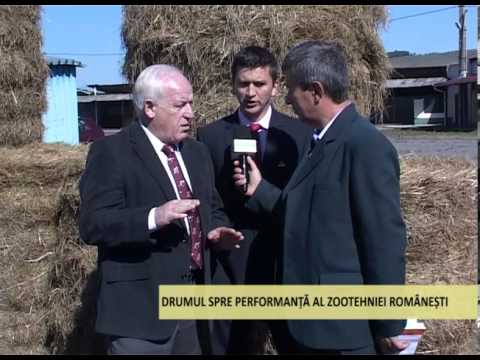 Realitati si Perspective 13 10 2013 Semtest 1