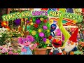 Elmos And Abby Fairy Garden Cartoon For Kids Sesame Street
