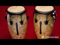What are the Differences Between Poncho Sanchez and Mongo Santamaria's Congas?