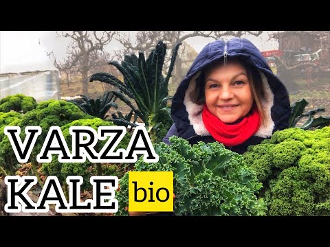 , title : 'Varza kale - de ce si cum s-o cultivam bio ?'