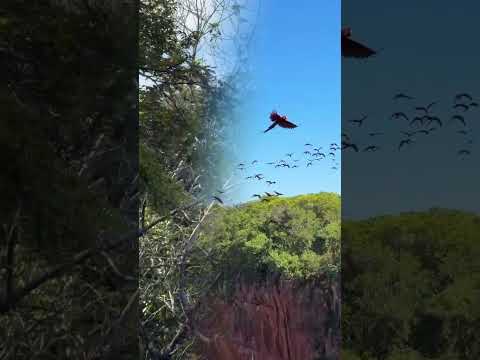 Magia Pura #ecoturismo #brazucasnomades #turismodenatureza #turismodenatureza #viagem