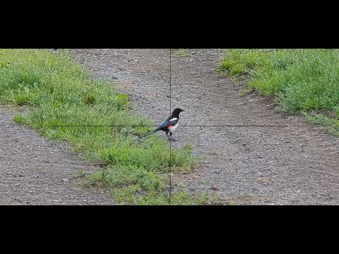 HW95 HW77 Bauernhof + Abfall Recycling Schädlingsbekämpfung