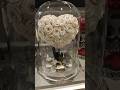 Unbelievable Flower Beauty Rare Exotic Flowers You Must See UnbelievableFlowers