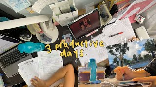 3 productive days in my life ✨ (POV: your productivity is a sin graph lmao)