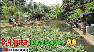 Download lagu Sampean pancen jos‼️Mancing bawal 8,4 juta hanya 6 peserta.. mp3