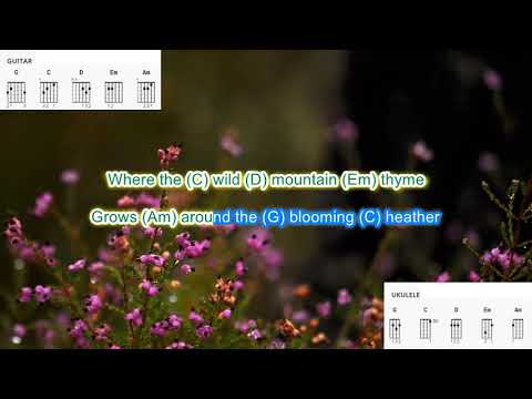 Wild Mountain Thyme - Ed Sheeran