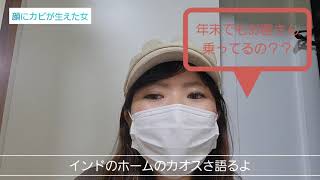 インドのホームはカオスで最高＼(^-^)／+野良牛🐮