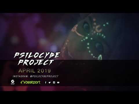 Psilocybe Project April 2019