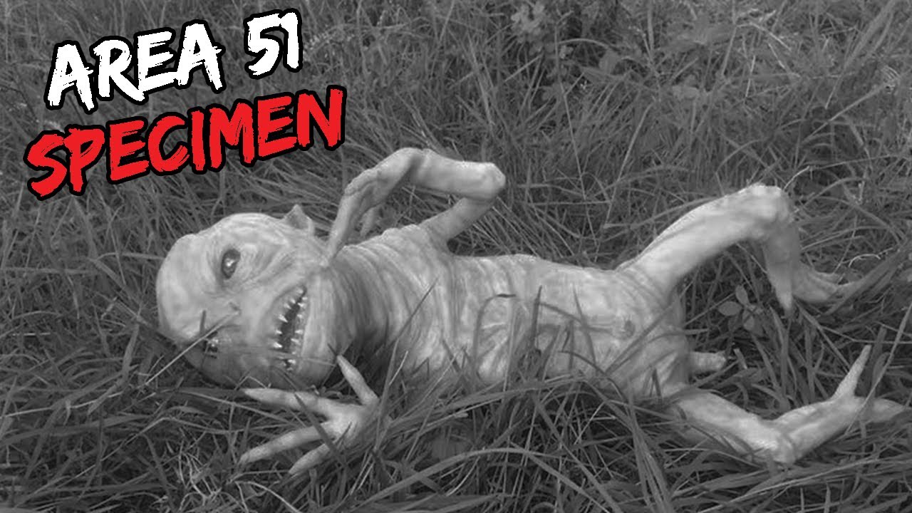 Top 5 Scary Alien Visits The Government Covered Up - Part 2