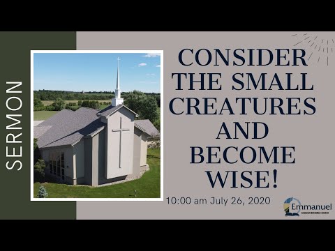 Consider the small creatures and become wise!