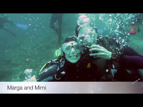 Day 7 in Raja Ampat with La Galigo Liveaboard