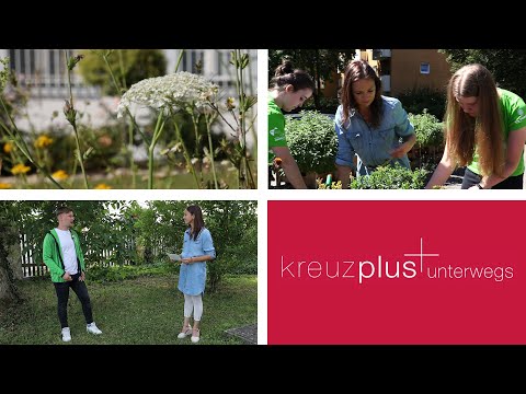 Die 72-Stunden-Aktion: kreuzplus unterwegs vom 11.09.2020