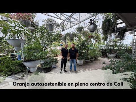 I created an AMAZING URBAN FARM on the rooftop of a house in Colombia