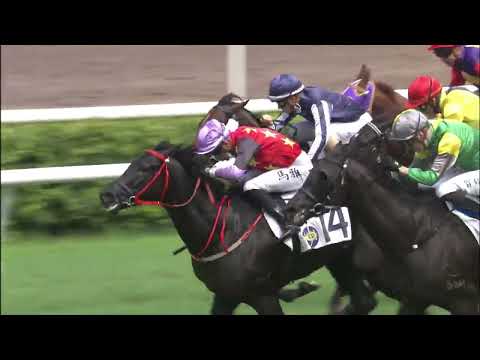 25/6/2022 (774) Cordyceps Two - R Maia