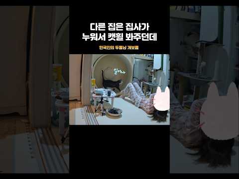 누워있다 주인님께 혼났습니다