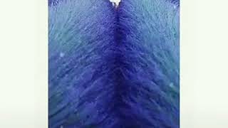 Download lagu Sajak detik mp3