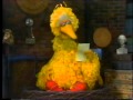 Classic Sesame Street Big Bird S Sheep Poem Re Upload