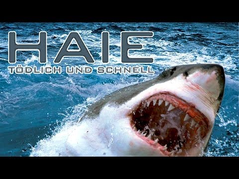 Haie - Tödlich und Schnell (2009) [Dokumentation] | Film deutsch)