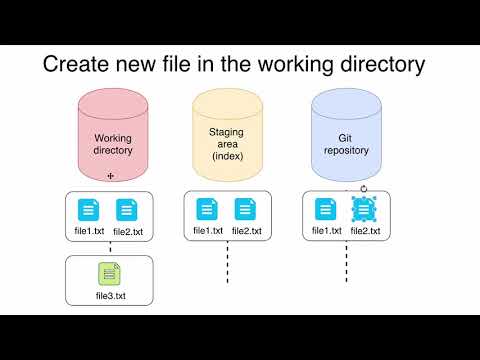 Basic Git operations 44 Git files lifecycle