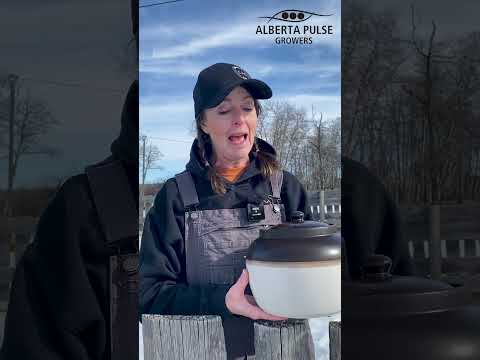 Bean Appetite for Nutrition Month! #beans #alberta #health #healthy #agriculture #farming