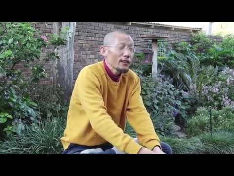 Q&A: How to PaidaLajin for back and spinal problems?