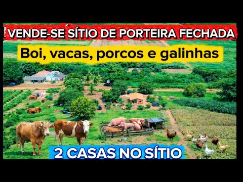 VAI VENDER RÁPIDO. SÍTIO RICO EM ÁGUA E FRUTAS. 230.000 JAÍBA-MG