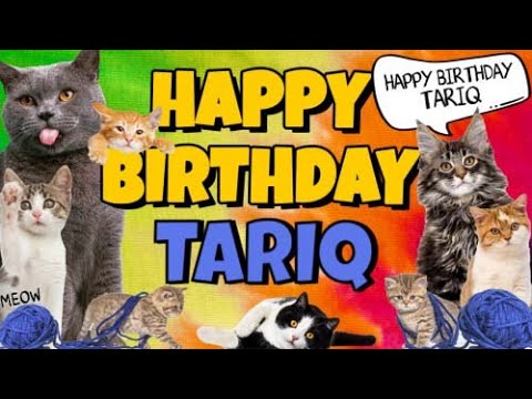 Happy Birthday Tariq! Crazy Cats Say Happy Birthday Tariq (Very Funny)