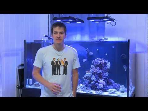 Love RODI Water But Hate The Waste?  Here's The Solution With Side Benefits